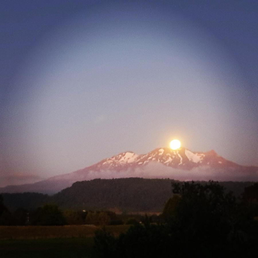 Beech Tree Lodge Ohakune Exterior foto